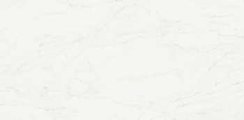 Italon Керамический гранит Charme Deluxe Floor Project Керамогранит Bianco Michelangelo 60x120 патинированный