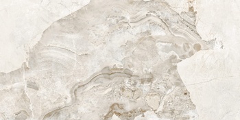 D120256LG Сишел / Seashell