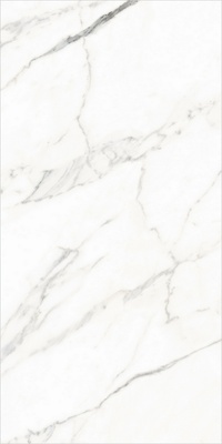 Керамогранит Tropical_GT Зеленый 60x120 _ 1\46,08
