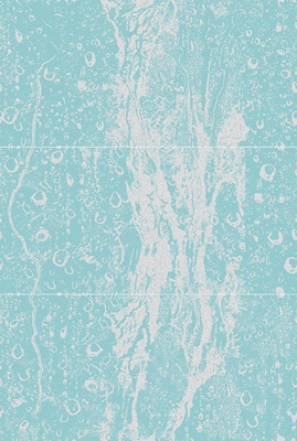 SW9RFL06 Рейнфол / Rainfall S/3
