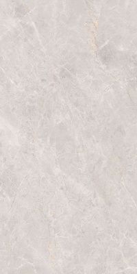 Керамогранит Montera_GT светло-сер. 60x120 _ 1\46,08