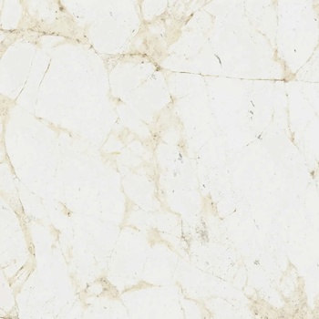 Coliseum Canova Керамогранит White 60x60 натуральный
