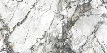 Dogma Project Antibacterial Керамогранит Invisible Solid Levigato 60x120 полированный