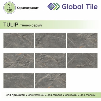 GT1206012109SPR Керамогранит Тюльпан / Tulip Темно-сер. 60x120 _ 1\46,08