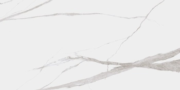 Dogma Project Antibacterial Керамогранит Calacatta Levigato 60x120 полированный