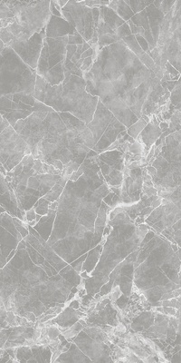 PGT 2198 Плитка грес глазурованный Solo NB_GT Сер. 60*120 Полир._ 1 \40,32 GlobalTile