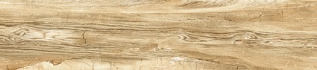 GFA92WDW48R Вандервуд / Wonderwood