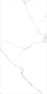 GT120607603PR/30 Керамогранит Романтика / Romantic Бел. 60x120 Тонкий (6,5 мм)_ 1\64,8